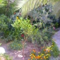 Jardin Secret par Eric Ma�olino