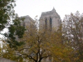 Notre-Dame