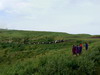 15. Massas et troupeau - Cratre du Ngorongoro - Eric_M