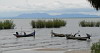 64. Lac Victoria - Tanzanie - Eric_M