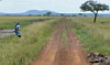 70. Rollier  longs brins en vol - Serengeti - Eric_M