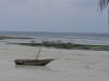 103. Kizimbazi - Zanzibar - Eric_M