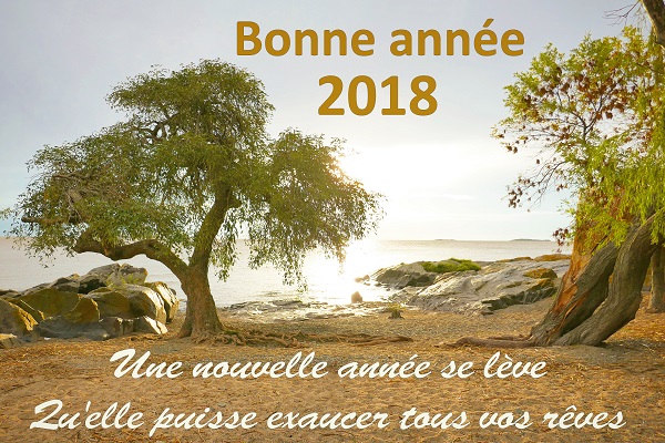 Bonne année 2018 Eric Maïolino